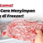 Tahan Lama! Begini Cara Menyimpan Daging Sapi di Freezer!