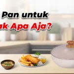 Wok Pan untuk Masak Apa Aja