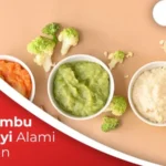 Bahan Bumbu MPASI Bayi Alami yang Aman Bahan Bumbu MPASI Bayi Alami yang Aman