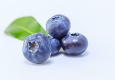blueberry