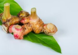 jenis rempah rempah